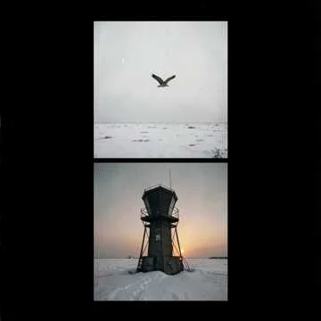 Сокол