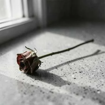 И я забыла твои глаза , и лишь увидев твою улыбку, которая ты принесла мечту …