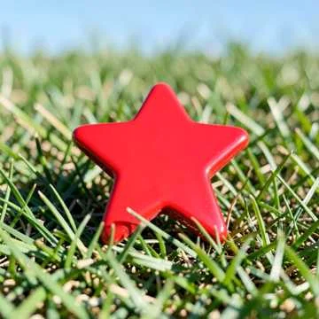 Львята России