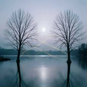 2 дерева