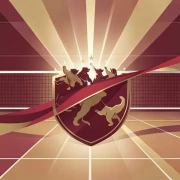 Волейбольная дружина