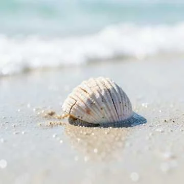 Ветер с морем дул, ветер с дул