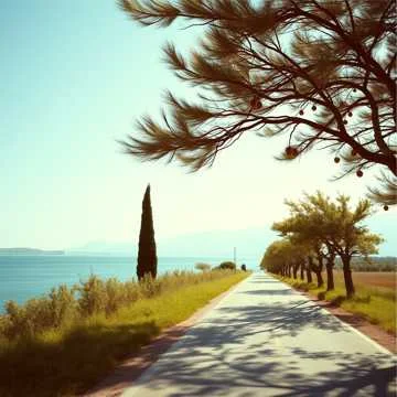 Алуштадан эскен еллер