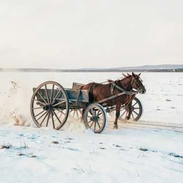 «…Эх, тройка! птица тройка, кто тебя выдумал? знать, у бойкого народа ты могла…