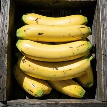 В Госдуме сегодня тяжёлые прения. Работа кипит. Обсуждают размер.. не будущих…