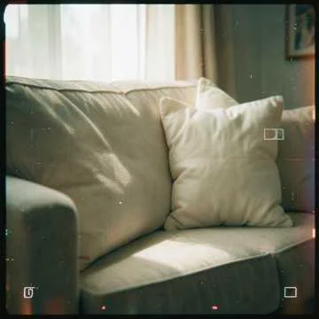 Лучше заведу кота,