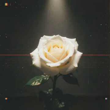 에바는 정말 아름다워,