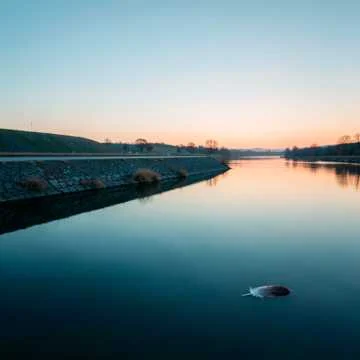 The river flows. The coffee cools in my hands.