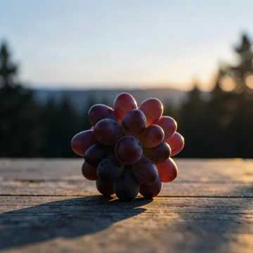 Свет из Виноградовки