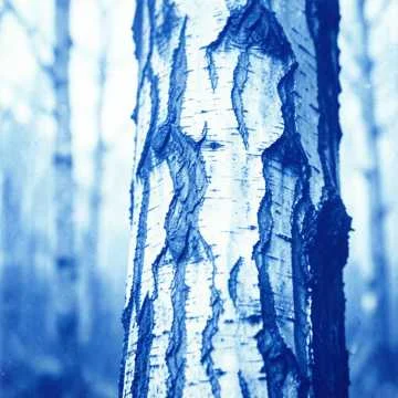 Бог нам даёт всё, но мы не цЕним,