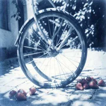 Как Алина любит убегать