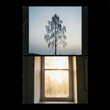 Нежное сердце