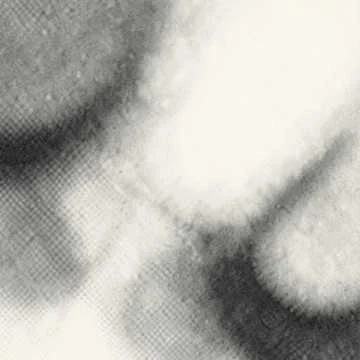 Тридцать лет — это только рассвет,