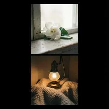 Мамуля, ты — мой свет, мой тихий уют,