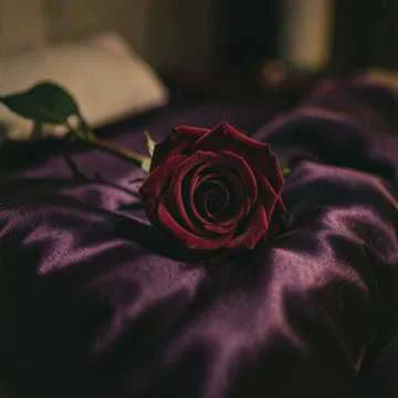 Ночь за окном опять