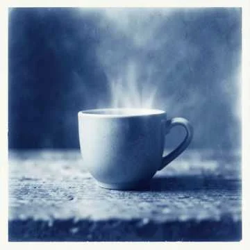 В доме шаг — и тишина