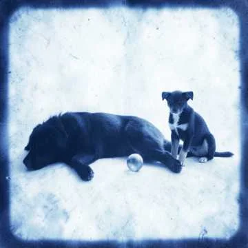 Текст твоего хита готов!