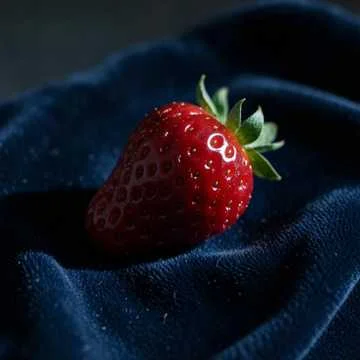 Ночная моя