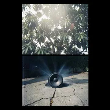 Drop low