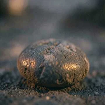 Скажи мне важные слова