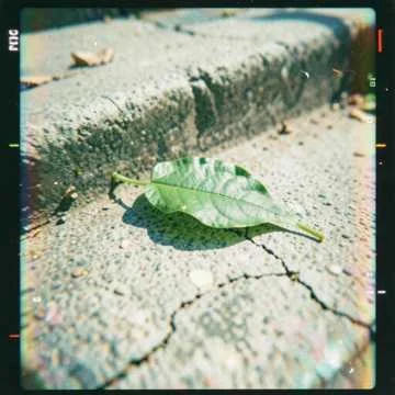 Псалом 31