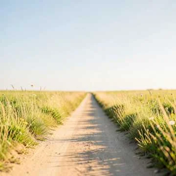 The road to rabbit town!