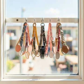 Все собачки очень хотят найти новый дом и любящих хозяев