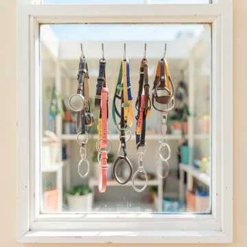 Все собачки очень хотят найти новый дом и любящих хозяев