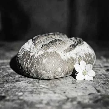 Я помню, как ты рос у меня на глазах,