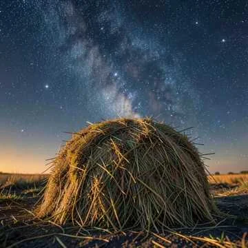 сено