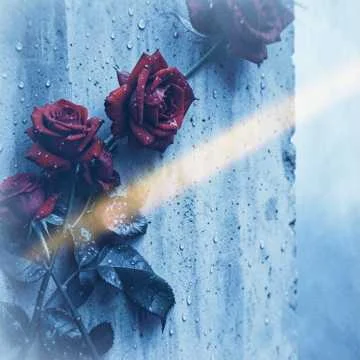 Гриша пришёл к тебе в дождь,