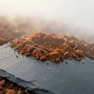 Хоки Мастчоҳ, дидаи чашмам,
