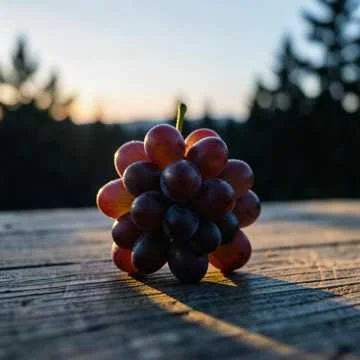 Свет из Виноградовки
