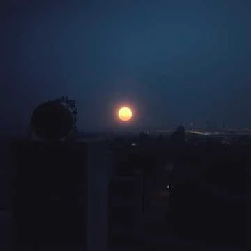 Не зови