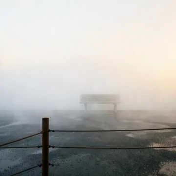 Приходит к нам по вечерам ...