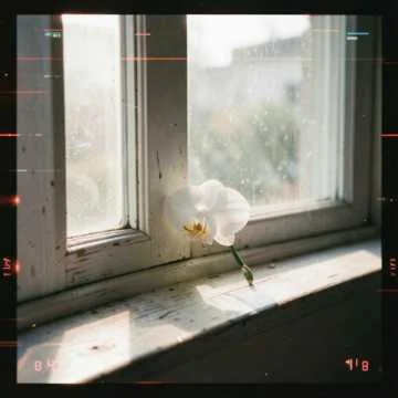 «Счастье любит тишину»